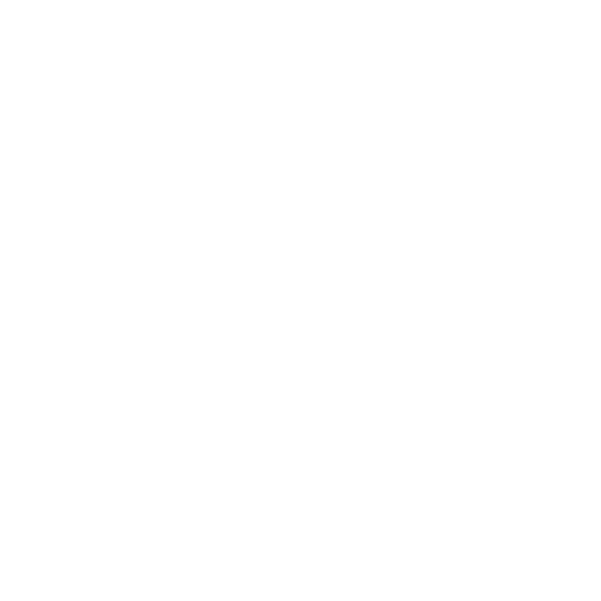 Finansman Yapısı